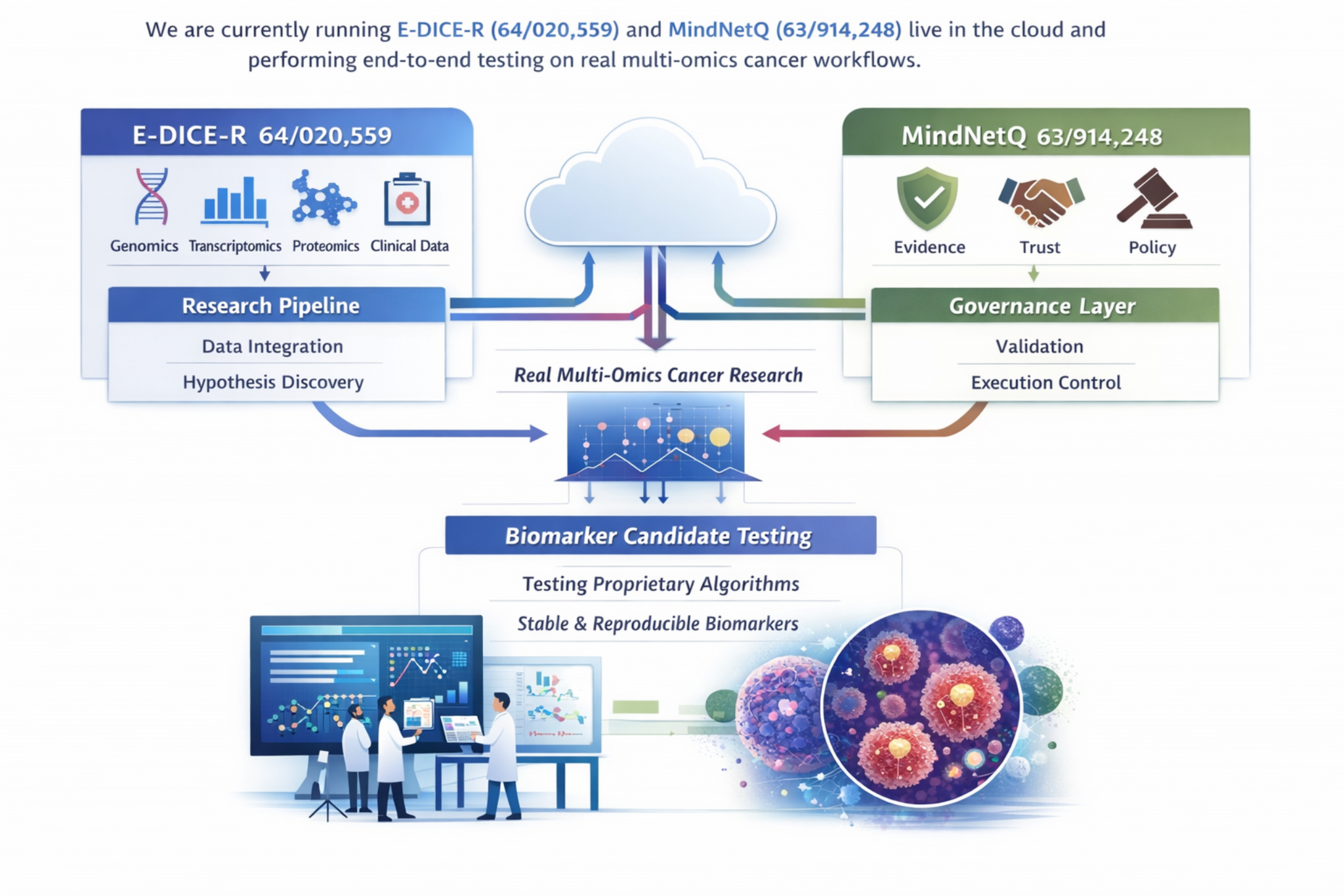 E-DICE-R workflow diagram
